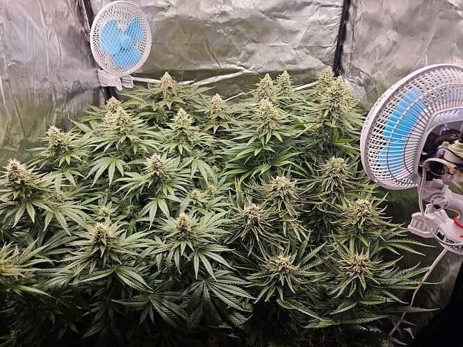 Growreport Bild 17
