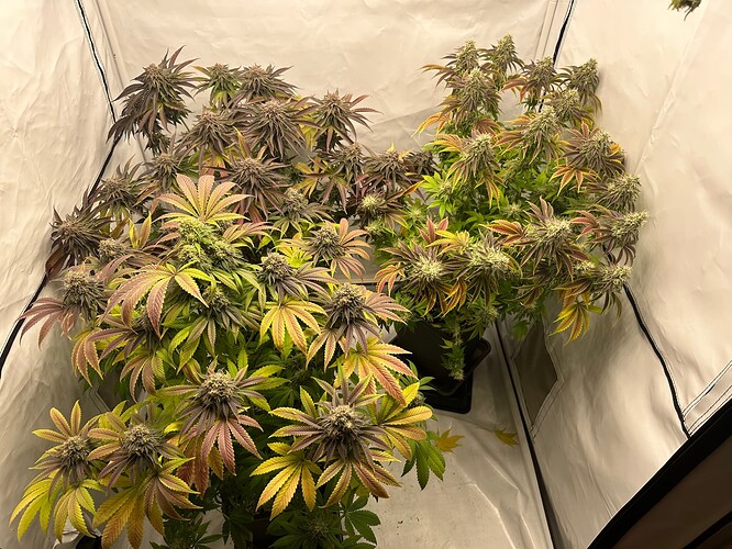 Growreport Bild 14