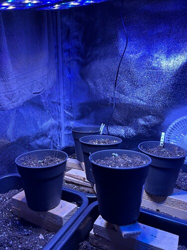 Growreport Bild 13