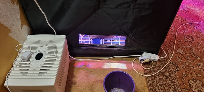 Growreport Bild 10
