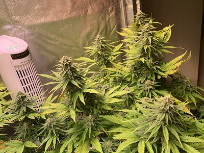Growreport Bild 12