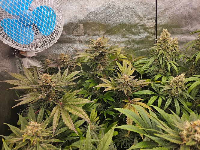 Growreport Bild 6
