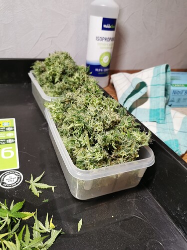 Growreport Bild 5