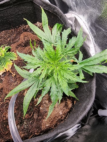 Growreport Bild 12