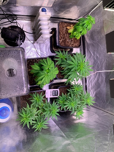 Growreport Bild 5