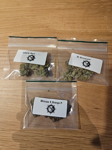 Growreport Bild 5