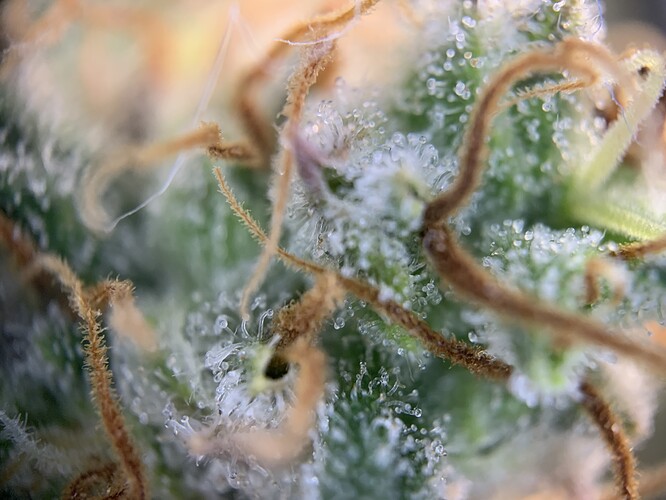 Growreport Bild 22