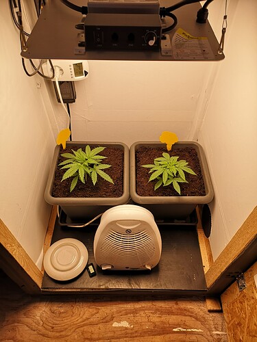 Growreport Bild 1