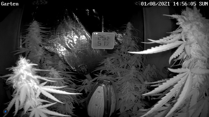 Growreport Bild 6