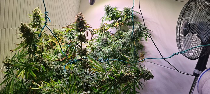 Growreport Bild 8