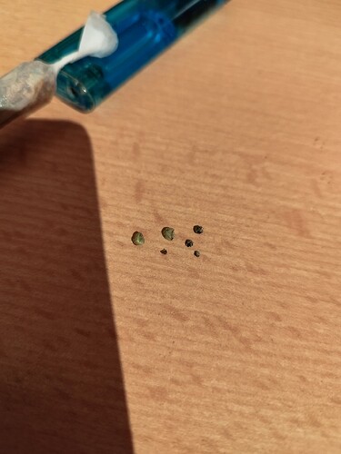 Growreport Bild 7