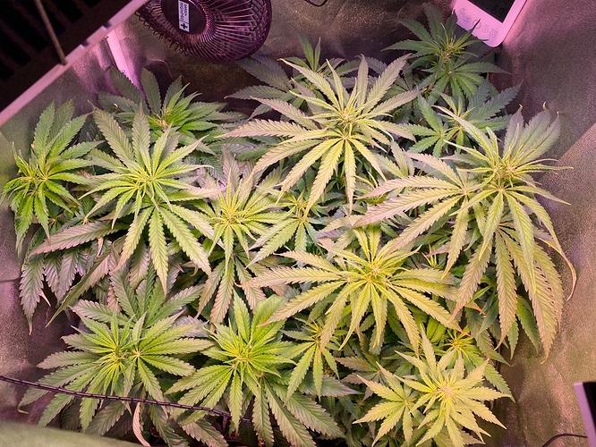 Growreport Bild 6