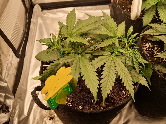 Growreport Bild 8