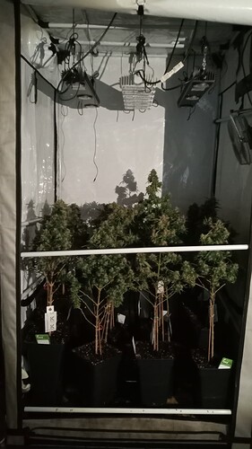 Growreport Bild 13