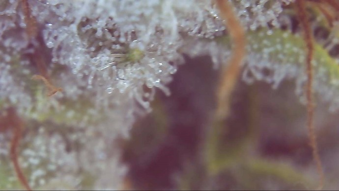 Growreport Bild 22