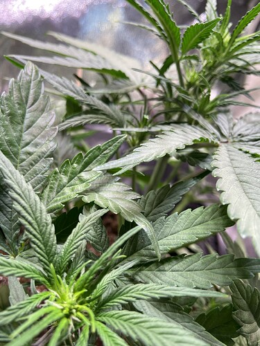 Growreport Bild 9