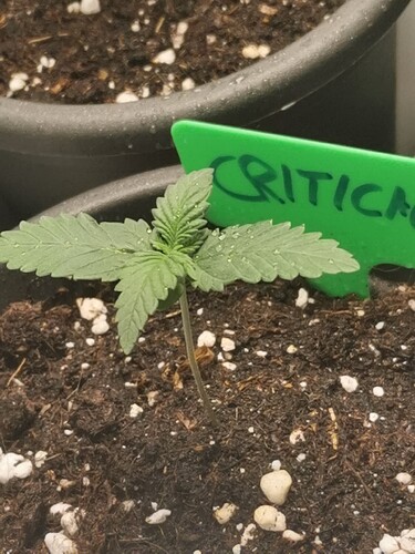 Growreport Bild 5