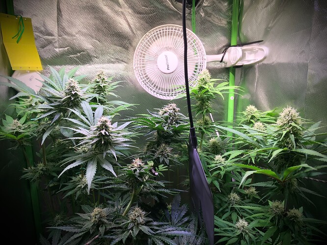 Growreport Bild 1
