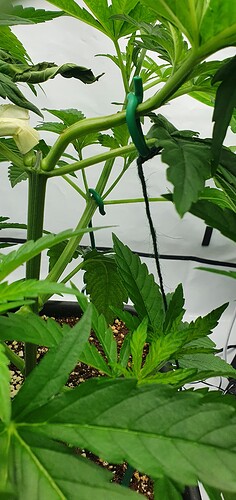 Growreport Bild 10