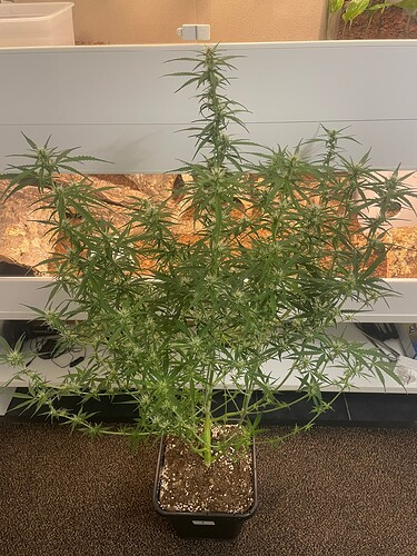 Growreport Bild 10