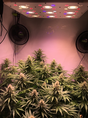 Growreport Bild 11