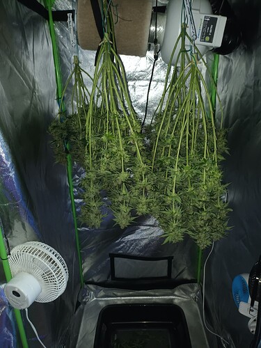 Growreport Bild 4