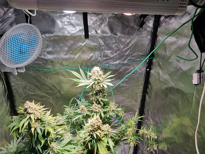 Growreport Bild 10