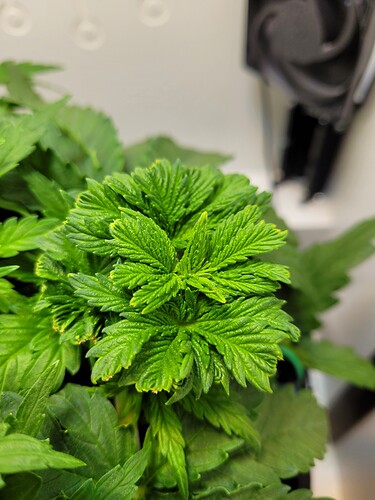 Growreport Bild 4