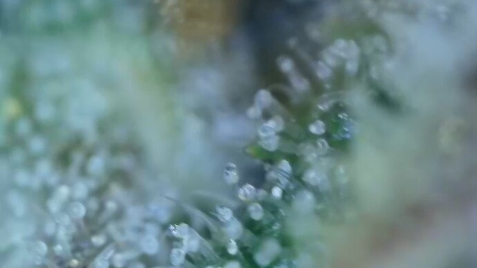 Growreport Bild 48