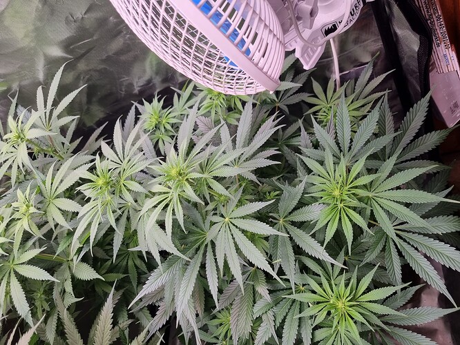 Growreport Bild 21
