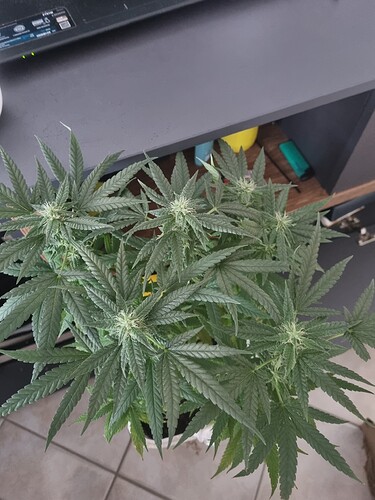 Growreport Bild 8