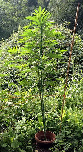 Growreport Bild 27