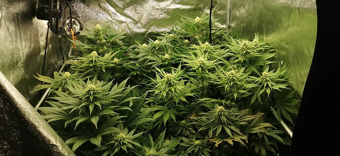 Growreport Bild 18