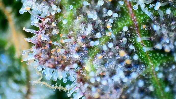 Growreport Bild 22