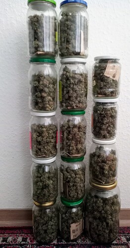 Growreport Bild 14