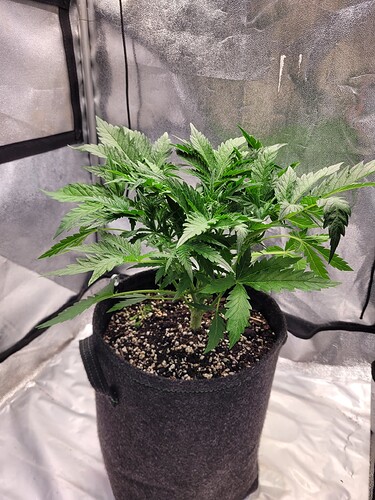 Growreport Bild 7