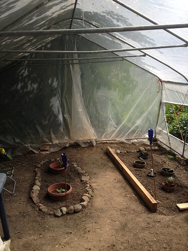 Growreport Bild 50