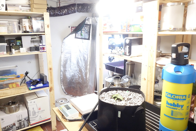 Growreport Bild 2