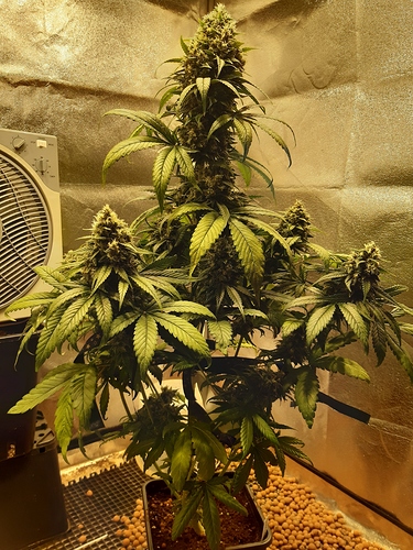 20191015_200539_cleaned