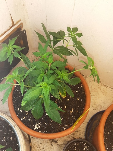 Growreport Bild 6