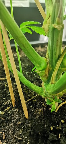 Growreport Bild 9