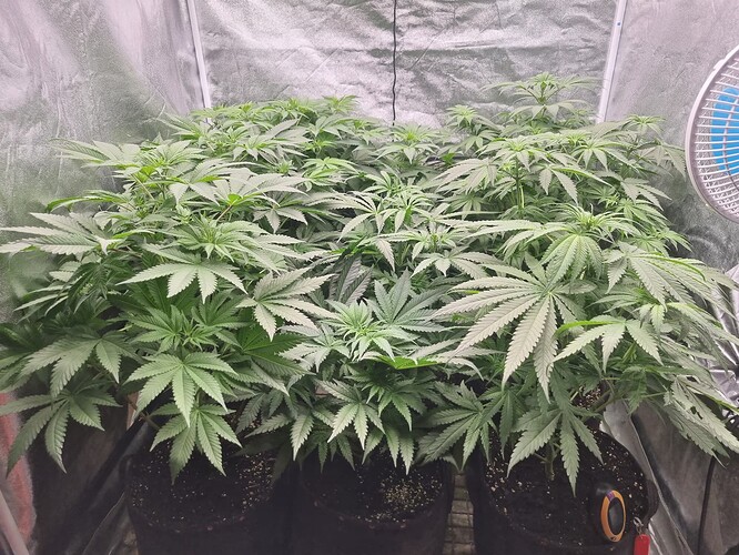 Growreport Bild 16