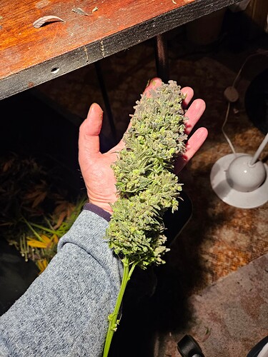 Growreport Bild 10