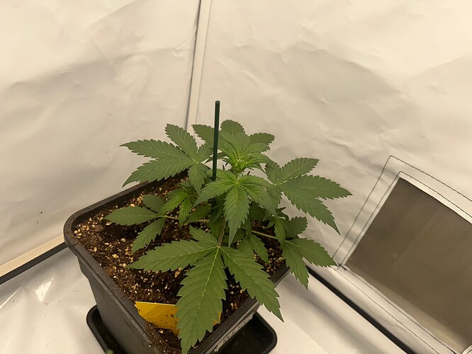 Growreport Bild 11