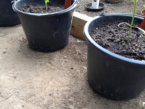 Growreport Bild 16