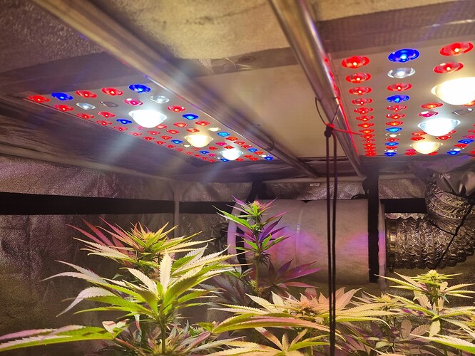 Growreport Bild 8