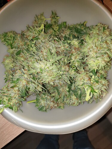 Growreport Bild 4