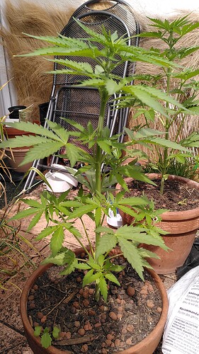 Growreport Bild 7