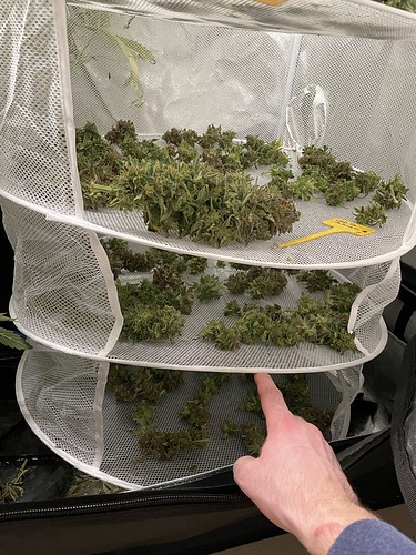 Growreport Bild 7