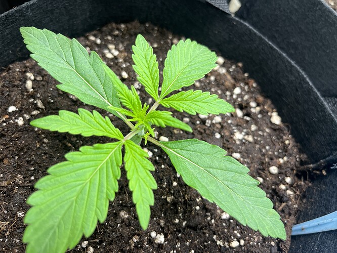 Growreport Bild 24